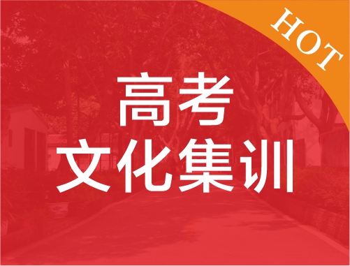 高考文化课集训